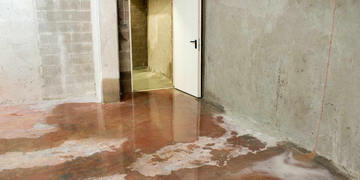 Flooded Basement Cleanup Near Me